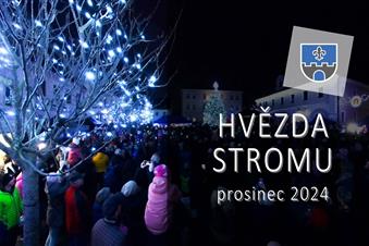 Hvězda stromu